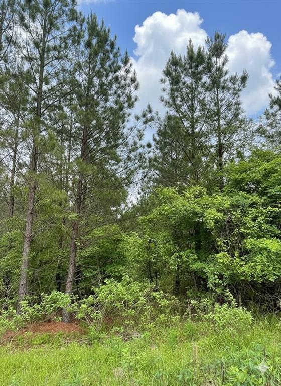 Land in Broken Bow 3