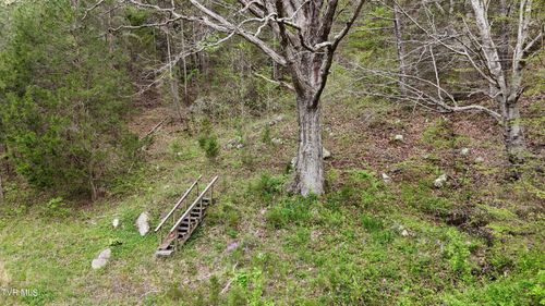 Tract 1 Grassy Creek Rd, Rogersville, TN, 37857 | Card Image
