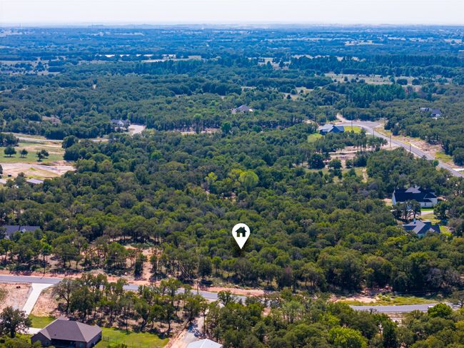 Drone / aerial view of a forest | Image 13