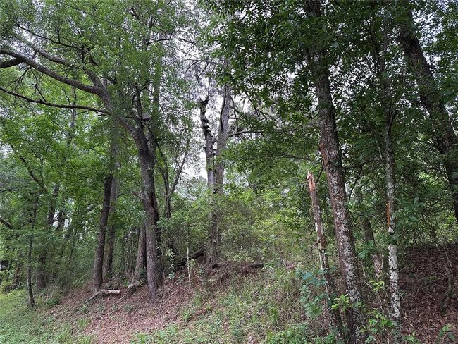 0 Bailey Grove Rd, Home with 0 bedrooms, 0 bathrooms and null parking in Montgomery TX | Image 6