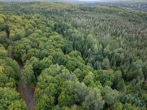 Lot 5 Wood Yard Crossing, Pittsburg, NH, 03592 | Card Image