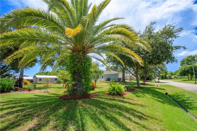 1018 Persian Ln, House other with 4 bedrooms, 2 bathrooms and null parking in Sebastian FL | Image 18