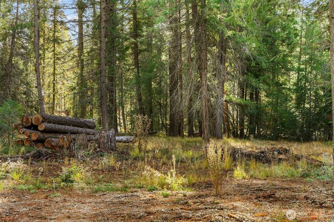 0 S Shugart Flats Rd, Home with 0 bedrooms, 0 bathrooms and null parking in Leavenworth WA | Image 22