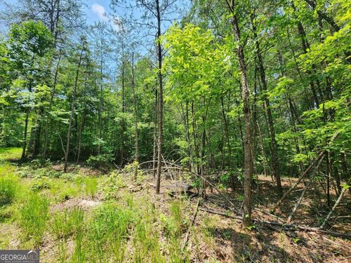 lt 29 Rachel Drive, Mccaysville, GA, 30555 | Card Image