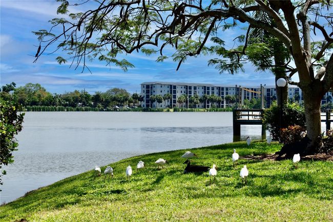 K327 - 3672 Lake Bayshore Dr, Condo with 2 bedrooms, 1 bathrooms and null parking in BRADENTON FL | Image 36