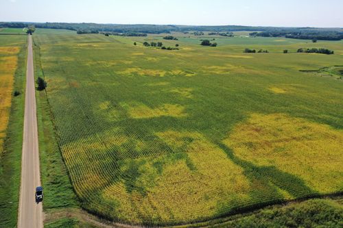 TBDx 190th Street, Battle Lake, MN, 56515 | Card Image