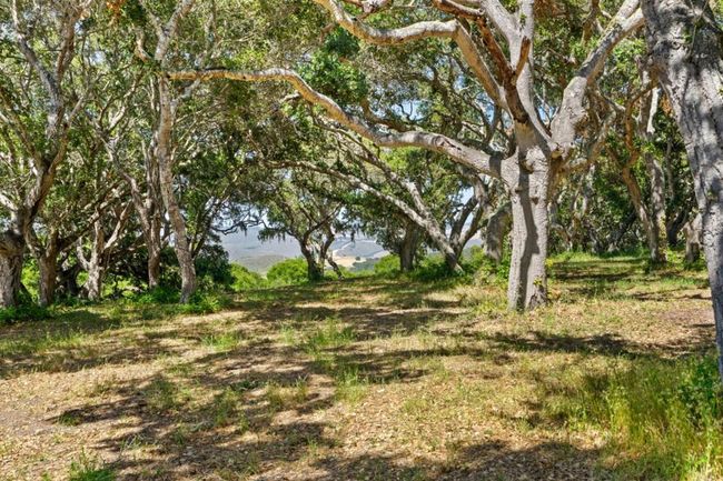 4 Holding Field Run, Home with 0 bedrooms, 0 bathrooms and null parking in Carmel CA | Image 9