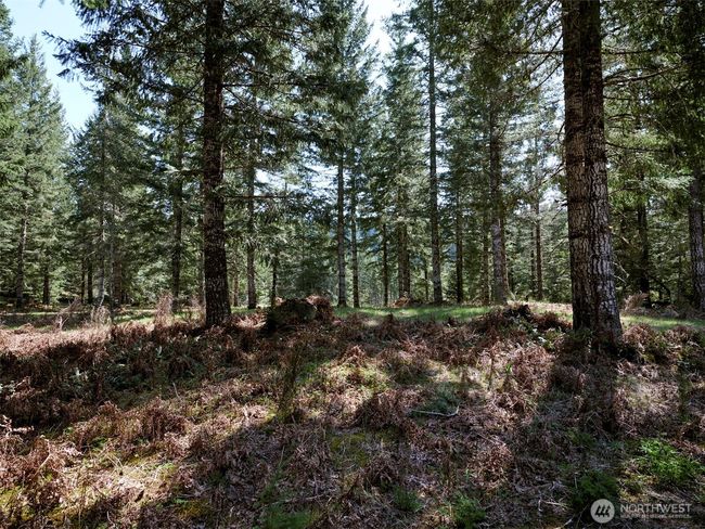 Acreage | Image 16