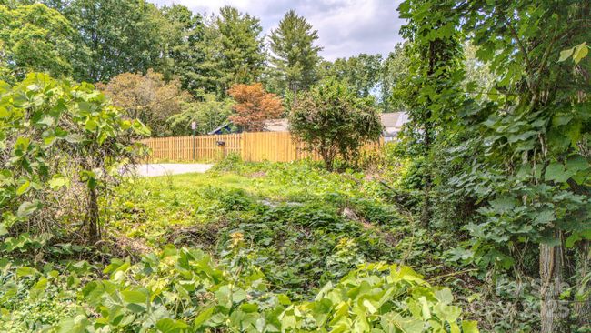 99999 Westchester Dr, Home with 0 bedrooms, 0 bathrooms and null parking in Asheville NC | Image 4