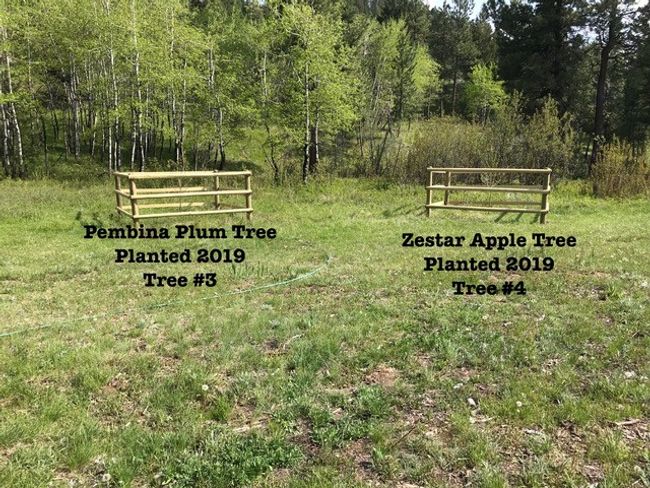 orchard | Image 102