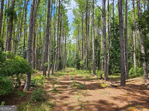 LOT 76 Chimney Rock Road, White Oak, GA, 31568 | Card Image