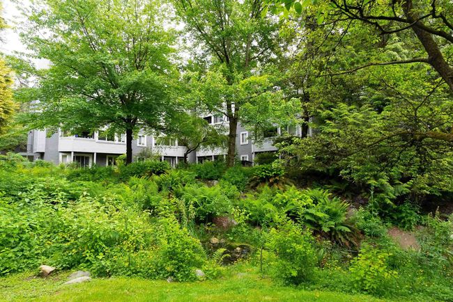 View of yard | Image 28