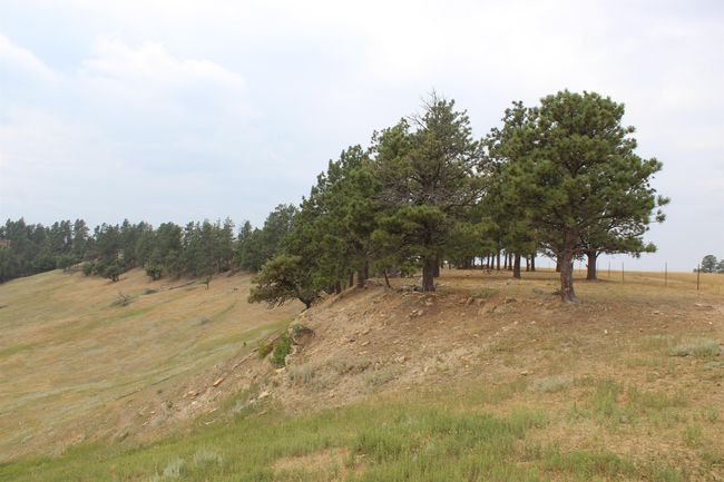 371 New Haven Rd, Home with 0 bedrooms, 0 bathrooms and null parking in Hulett WY | Image 17