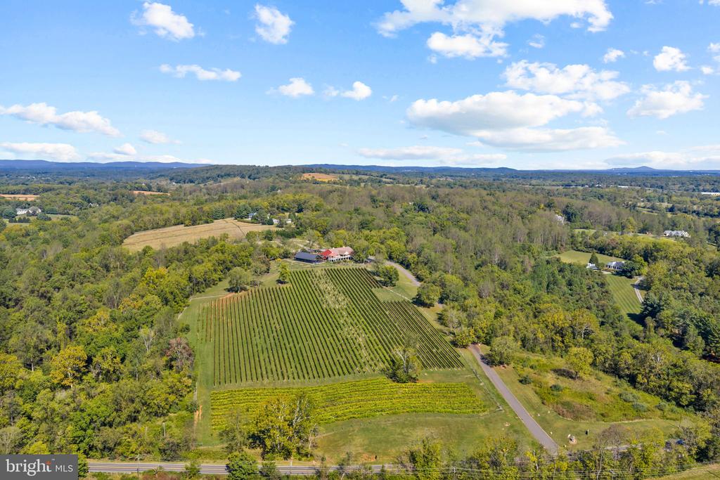 Commercial Sale in MIDDLEBURG 2