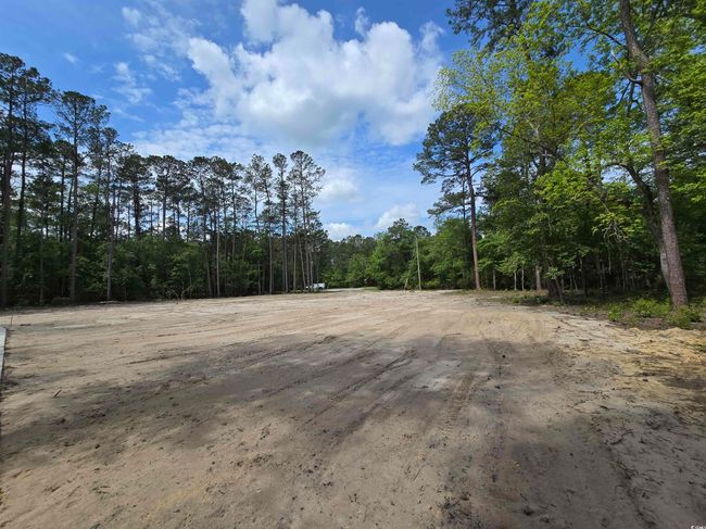 View of dirt / gravel road with a wooded view | Image 10