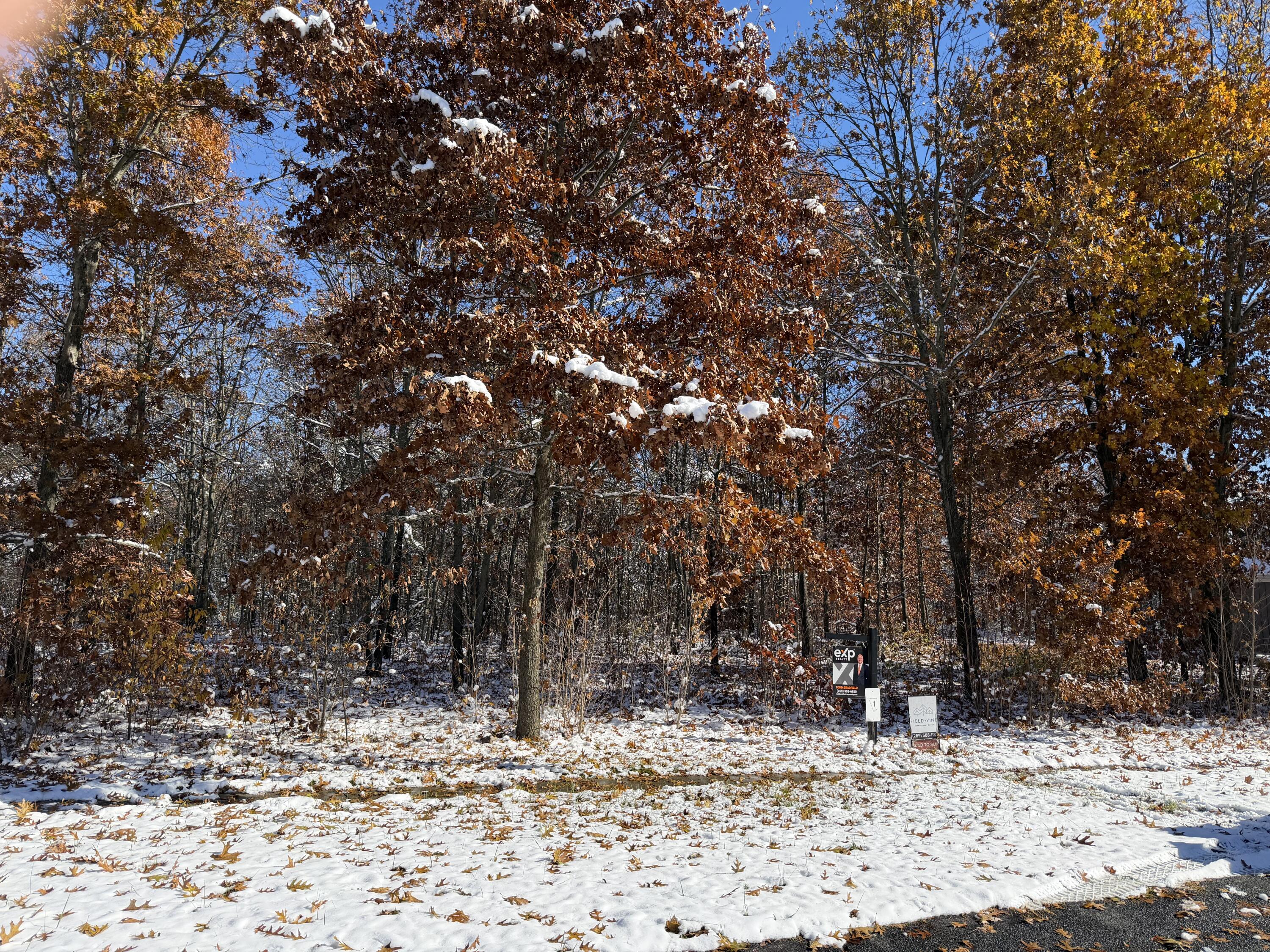 Land in Kalamazoo