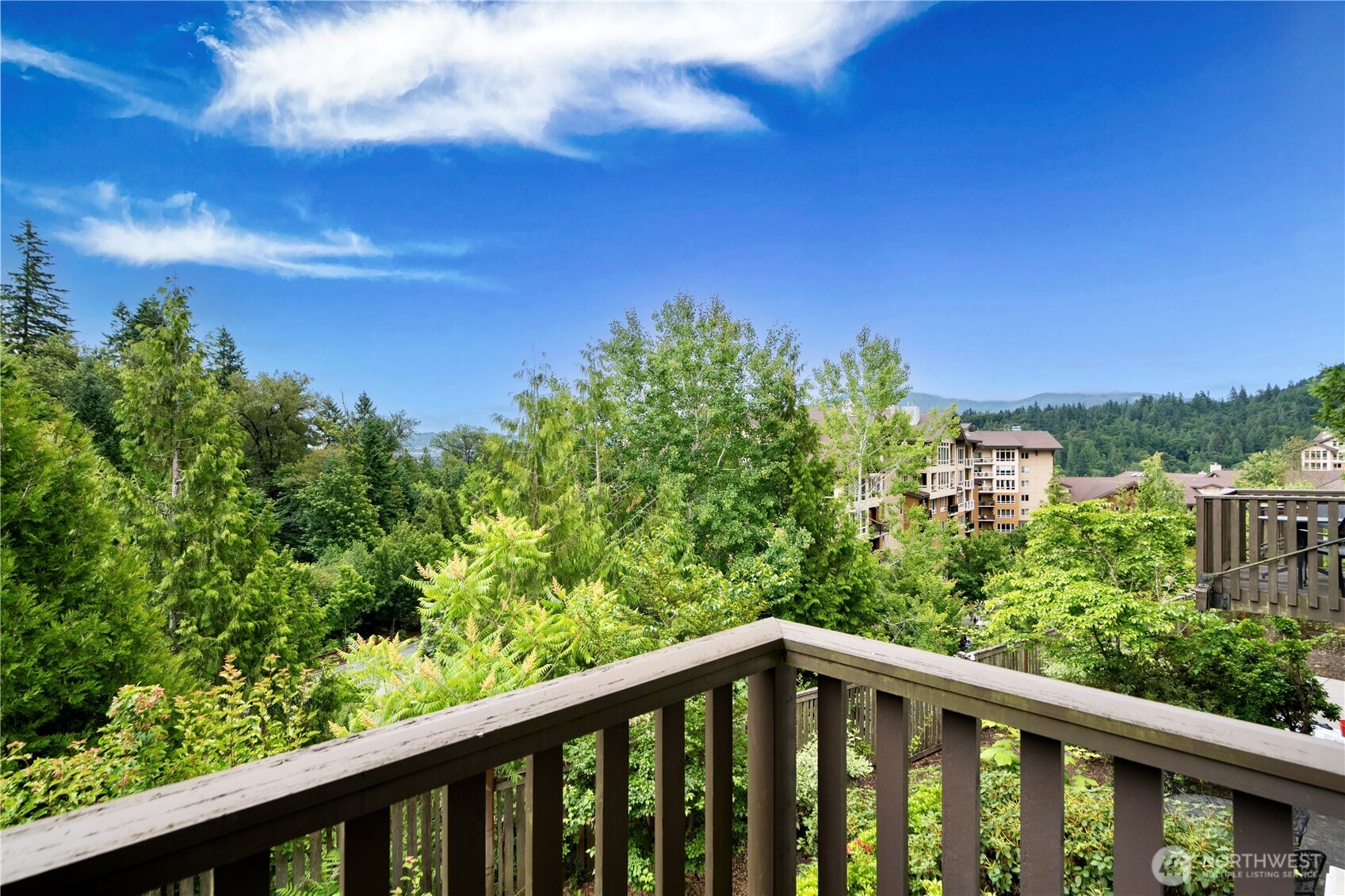 Residential in Issaquah 5