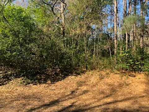 Land in Hemphill 3
