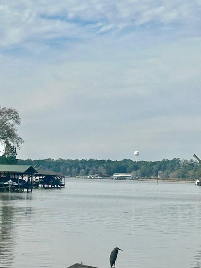 Beautiful Lake View | Image 13