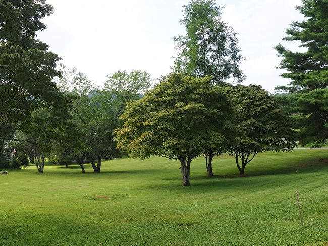 19 Lone Oak Ct, House other with 4 bedrooms, 4 bathrooms and 2 parking in Laurel Fork VA | Image 6