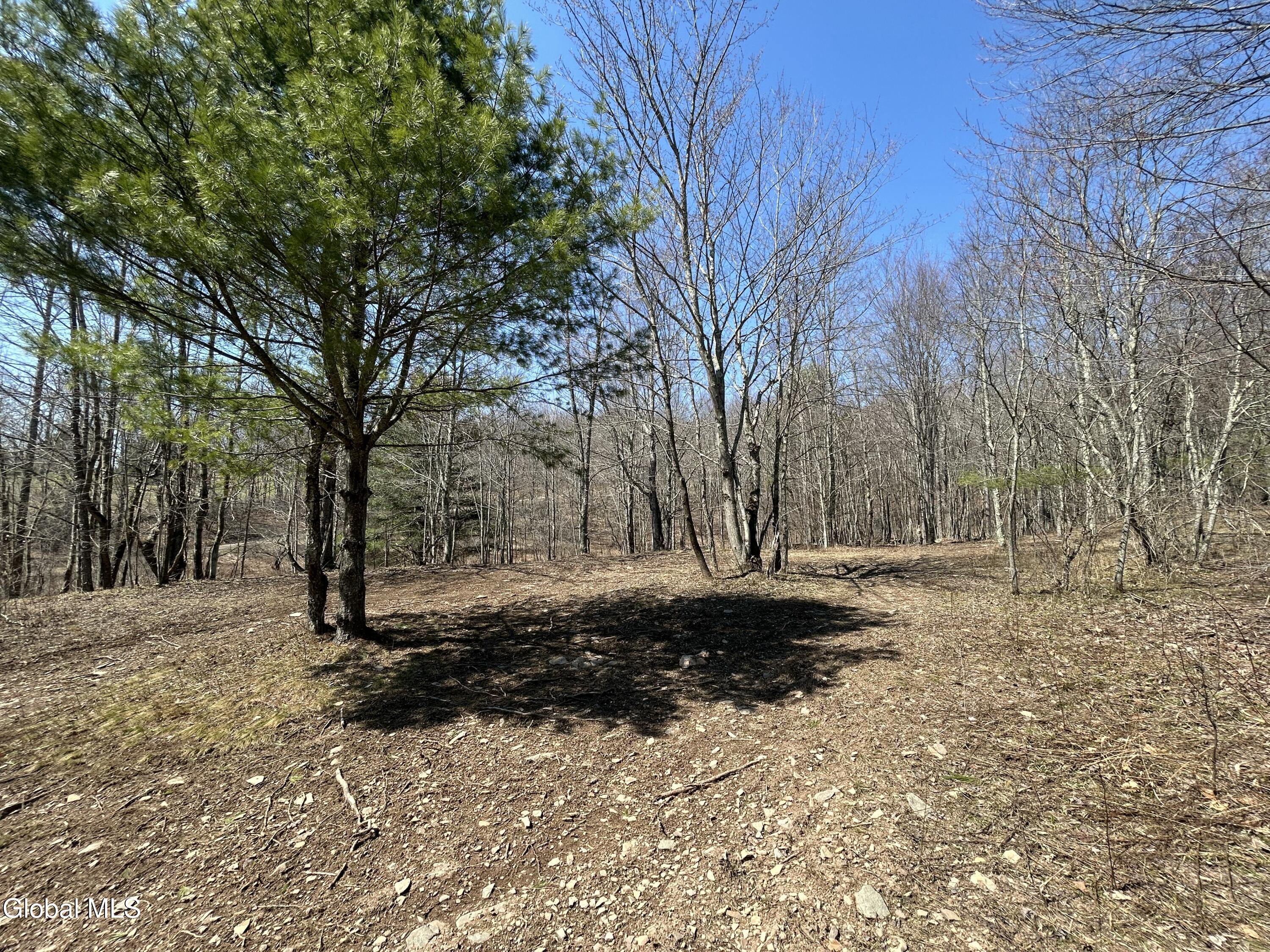 Land in Jefferson 3