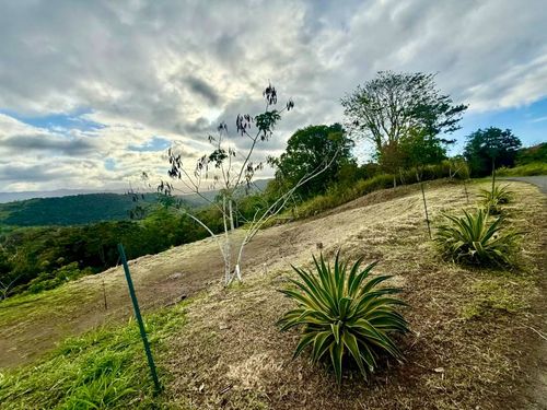 1-Cidra Campo Bello, Cidra, PR, 00739 | Card Image