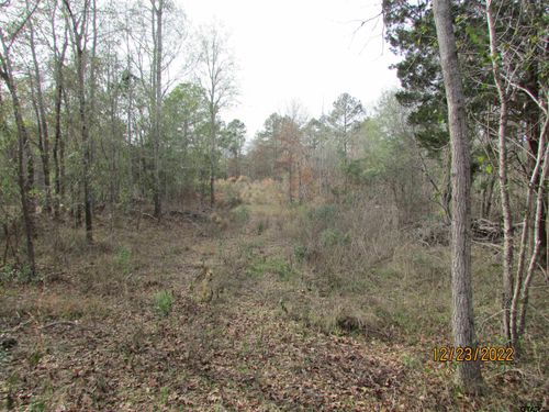 6110 Fm 314, LaRue, TX, 75770 | Card Image