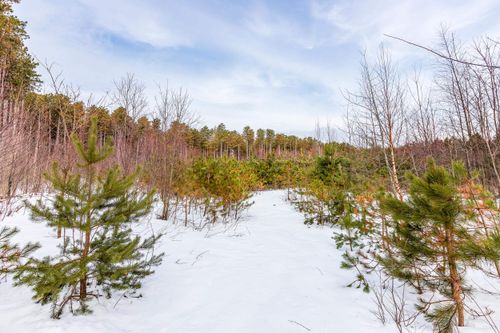 3219 Nugent Rd, Frankfort, MI, 49635 | Card Image