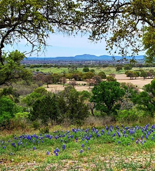 700 Crownover Ln, Round Mountain, TX, 78663-3460 | Card Image