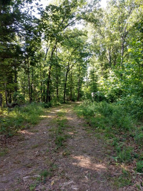 5366 Private Rd 5212, Willow Springs, MO, 65793 | Card Image
