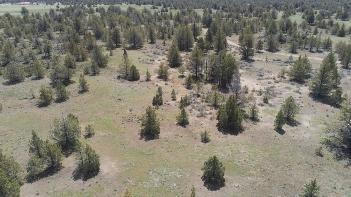 Land in Montague 2