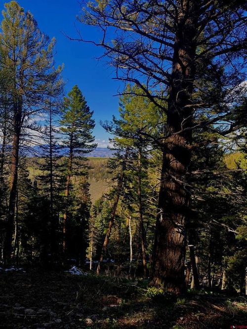 152 Crest Dr, Cimarron, CO, 81220-9503 | Card Image