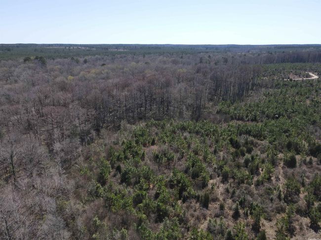 00 Highway 278 Highway, Home with 0 bedrooms, 0 bathrooms and null parking in Rosston AR | Image 16