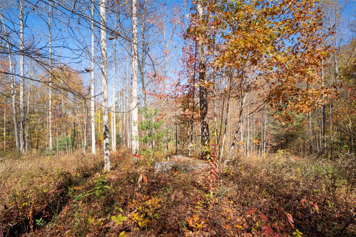 Land in Glenville 5