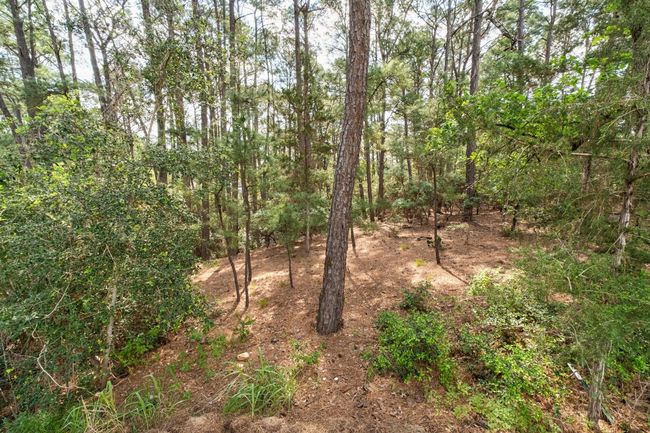 118 Waialua Ct, House other with 3 bedrooms, 3 bathrooms and 4 parking in Bastrop TX | Image 23