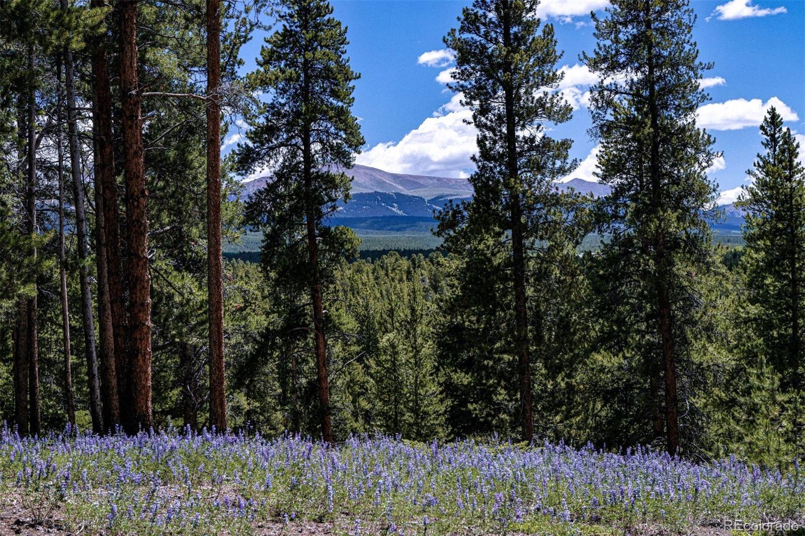 Elk Trl, Leadville, CO 80461