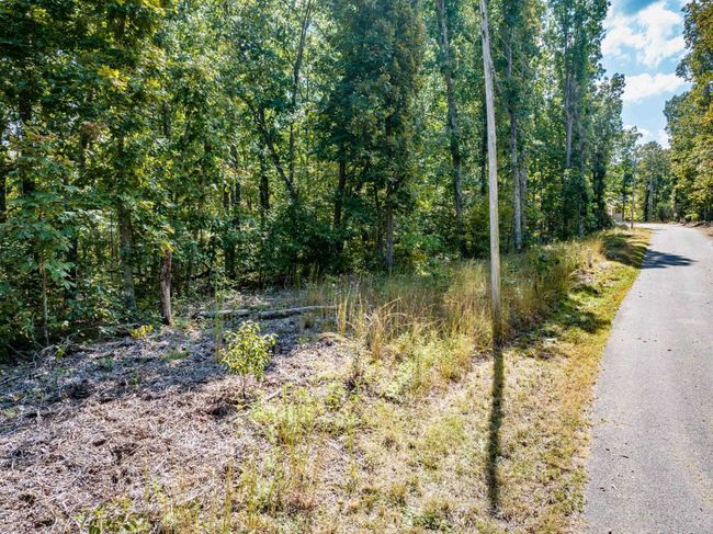 LOT 14/16 Ridgeway Dr, Home with 0 bedrooms, 0 bathrooms and null parking in Sugar Tree TN | Image 7