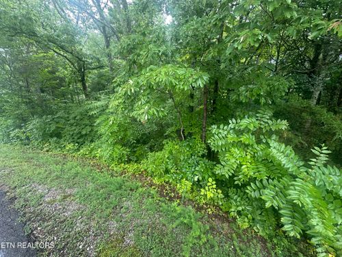 302 Elohi Trce, Loudon, TN, 37774-6906 | Card Image