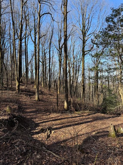 6180 Burnt Mountain Road, Ellijay, GA, 30536 | Card Image