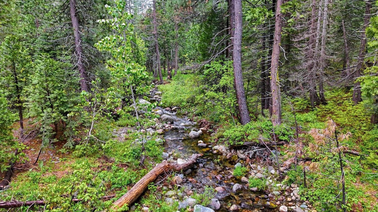 Land in Emigrant Gap 3