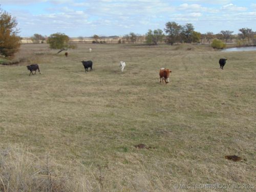 103 New Hope Rd, Marietta, OK, 73448 | Card Image