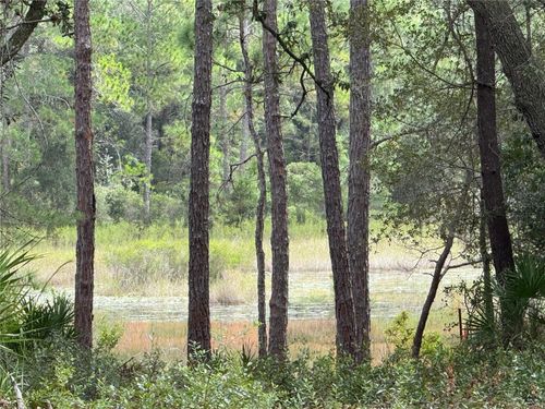 0 Ne 114th Avenue Rd, Fort Mc Coy, FL, 32134 | Card Image