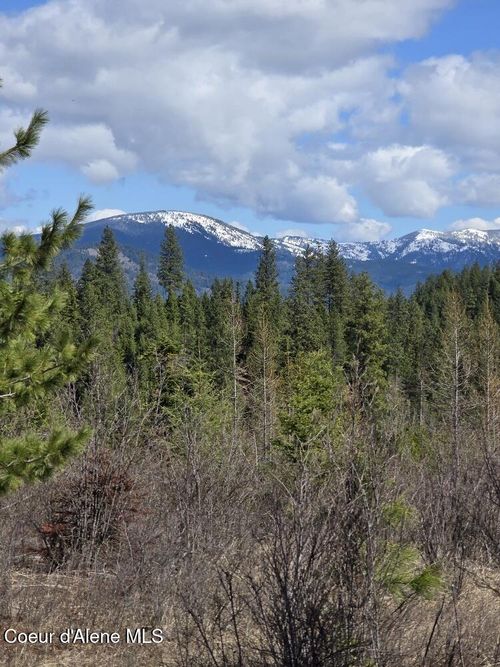 NKA Mutch Creek Rd, Saint Maries, ID, 83861 | Card Image