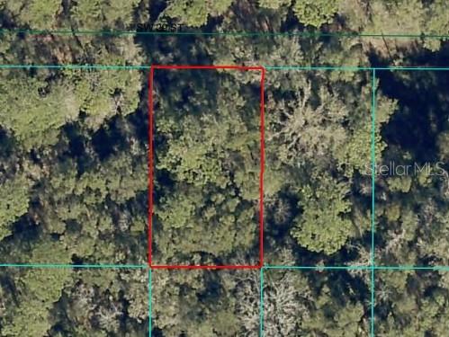 Land in OCALA 2