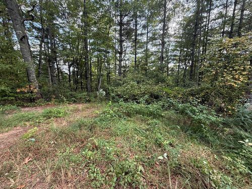 0 Mundy Rd, Marble, NC, 28905 | Card Image