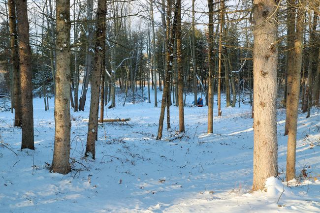 17163 Spruce Cove Trl, Home with 0 bedrooms, 0 bathrooms and null parking in Gowen MI | Image 21
