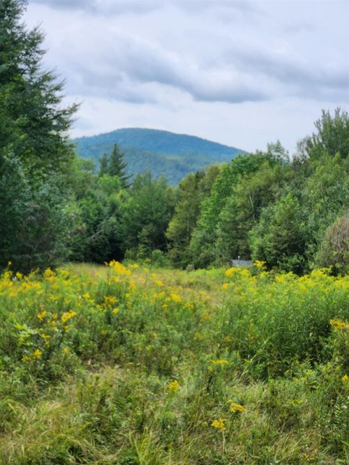 348 Parker Rd, Carroll, NH, 03598-4332 | Card Image