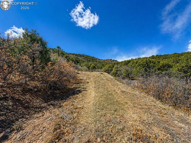 Land in Texas Creek 3