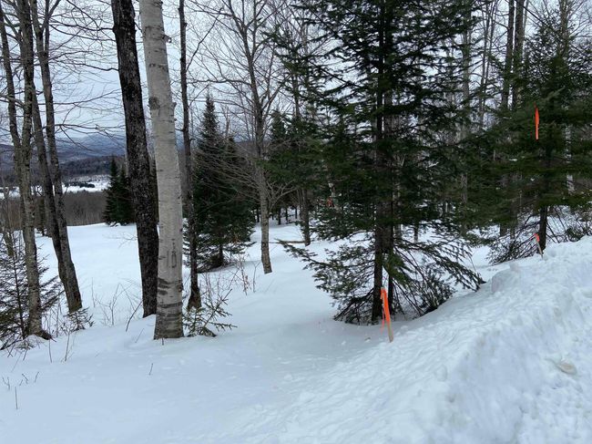 48 Alberts Ln, Home with 0 bedrooms, 0 bathrooms and null parking in Warren VT | Image 14