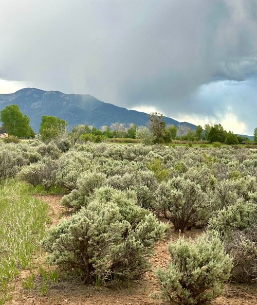 Off Vista Lejos, Arroyo Seco, NM, 87514 | Card Image